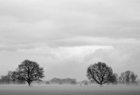 215 - NIEDERRHEIN IM NEBEL - LASKOWSKI RENJA - germany <div